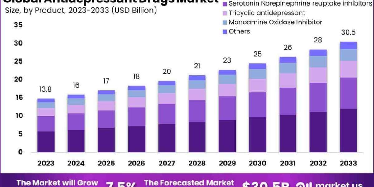 Antidepressant Drugs Market Future Potential and Growth Outlook 2024–2033